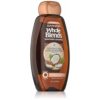 Garnier Whole Blends Smoothing Shampoo